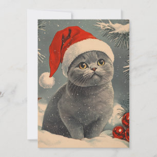 Chartreux Cat Christmas  Holiday Card