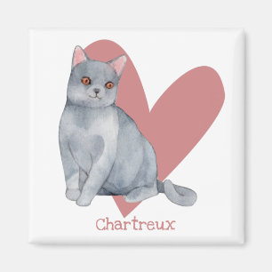 Chartreux Cat Watercolor Kitty Pink Heart Magnet