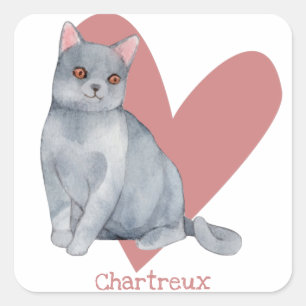 Chartreux Cat Watercolor Kitty Pink Heart Square Sticker