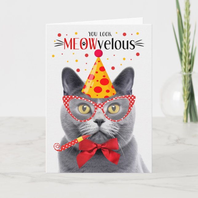 Chartreux Grey Cat MEOWvelous Birthday Card (Front)