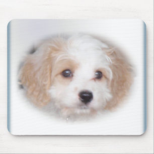 Chase Cavachon Mousepad