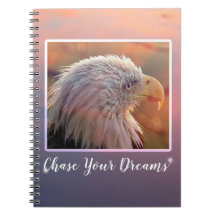 Chase Your Dreams