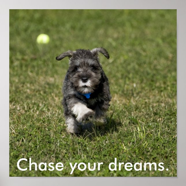 Chase your dreams. poster (Front)
