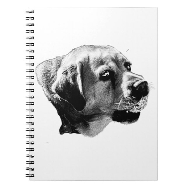 Chasing Goals – Side View Lab Notebook (Front)