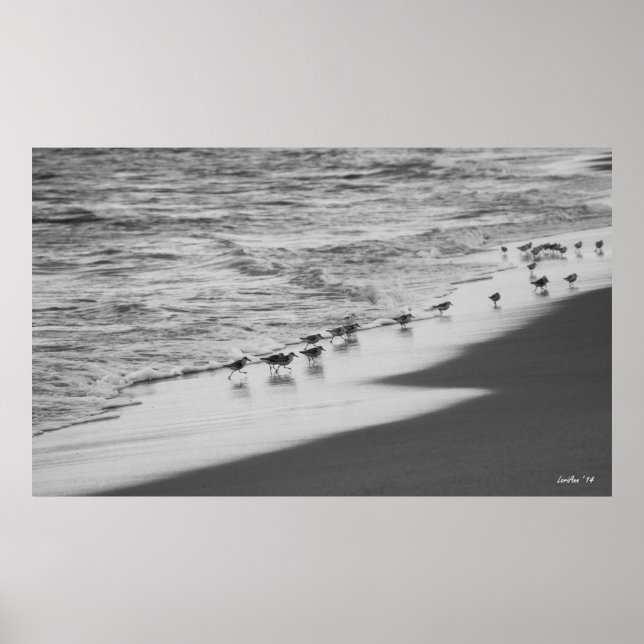 Chasing Sandpipers Poster (Front)