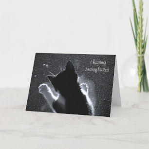 Chasing Snowflakes Christmas Kitten Card
