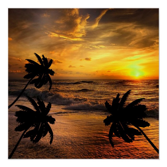 CHASING SUNSETS OCEAN SCENERY NATURE  POSTER (Front)