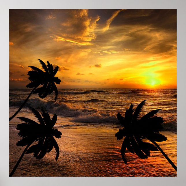 CHASING SUNSETS OCEAN SCENERY NATURE   POSTER (Front)