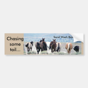 Chasing Tail Bumper Sticker