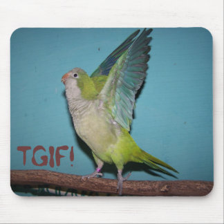 Chaska TGIF! Mousepad