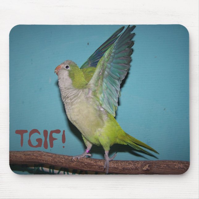 Chaska TGIF! Mousepad (Front)