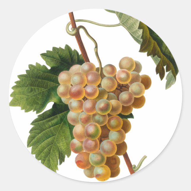 Chasselat de Fontainebleau Round Sticker (Front)