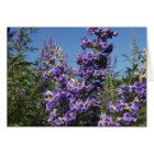 Chaste Tree Purple Flowers