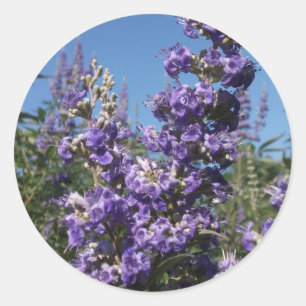 Chaste Tree Purple Flowers Classic Round Sticker