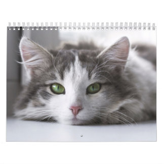 Chat Calendar