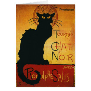 Chat Noir - Black Cat