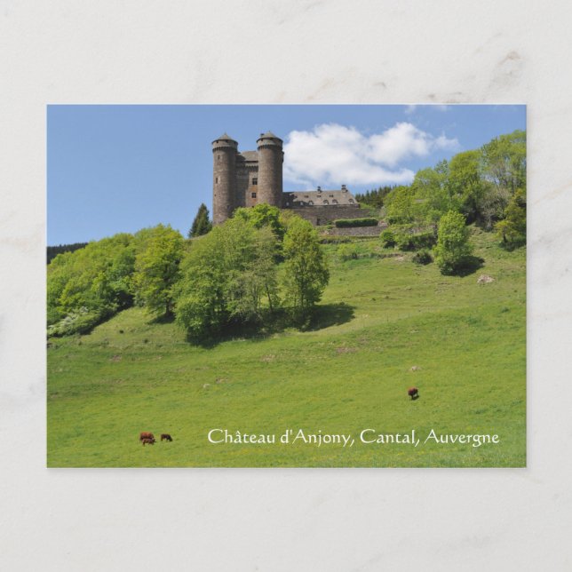 Château d'Anjony, Auvergne Postcard (Front)