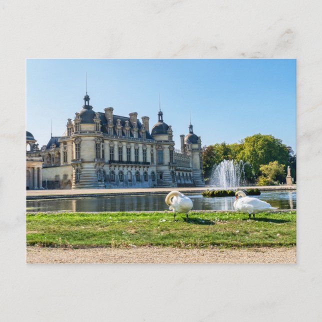 Chateau de Chantilly, fountain and two swans Postcard (Front)