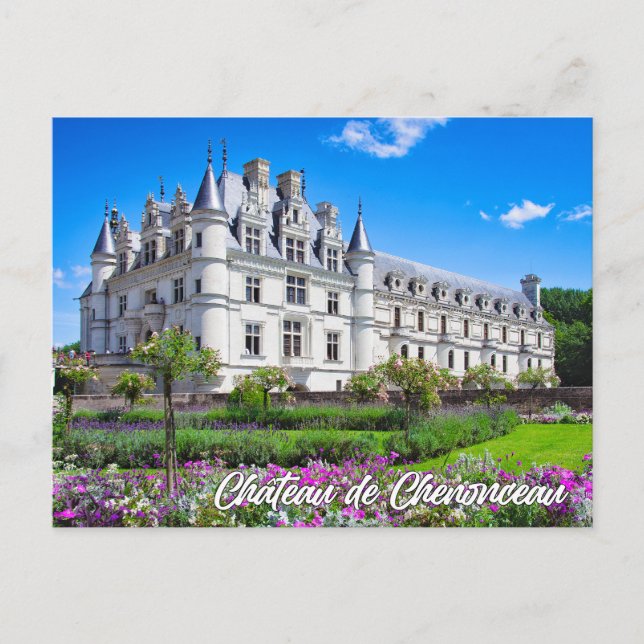 Chateau de Chenonceau, France Postcard (Front)