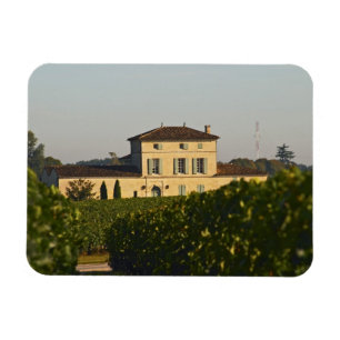Chateau Lafleur Petrus and vineyard, in Pomerol, Magnet