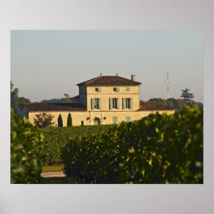 Chateau Lafleur Petrus and vineyard, in Pomerol, Poster