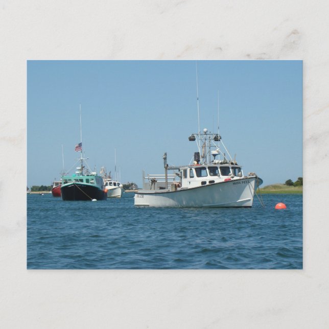 Chatham Harbour Boats Postcard (Front)