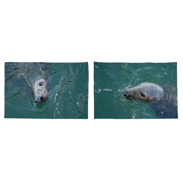 Chatham's Finest Grey Seals Pillowcase (Back-Set)