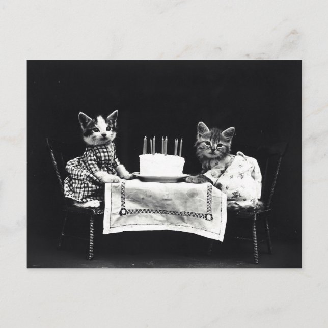 Chatons anniversaire vintage postcard (Front)