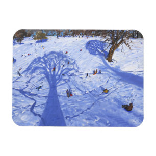 Chatsworth winter tree shadows 2013 magnet