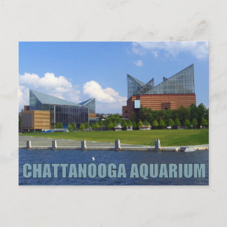 Chattanooga Aquarium Postcard