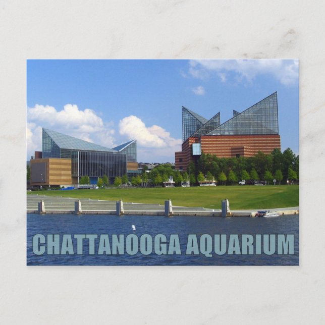 Chattanooga Aquarium Postcard (Front)