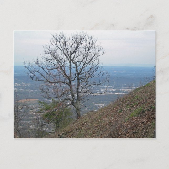 Chattanooga, Tennessee 001 Postcard (Front)