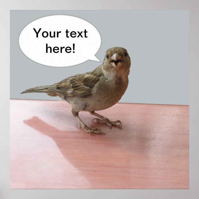 Chattering Sparrow poster (Front)