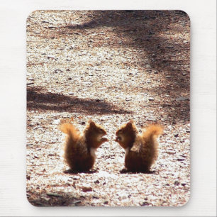 Chatting in the Park Mouse Mat