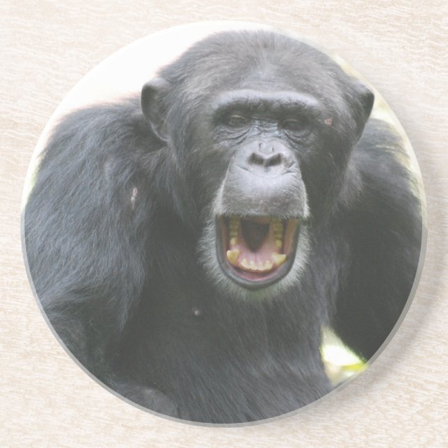 Chatty Chimpanzee Plate Coaster (Front)
