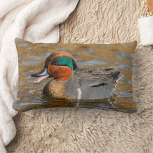 Chatty Green-Winged Teal Duck at Pond Lumbar Cushion