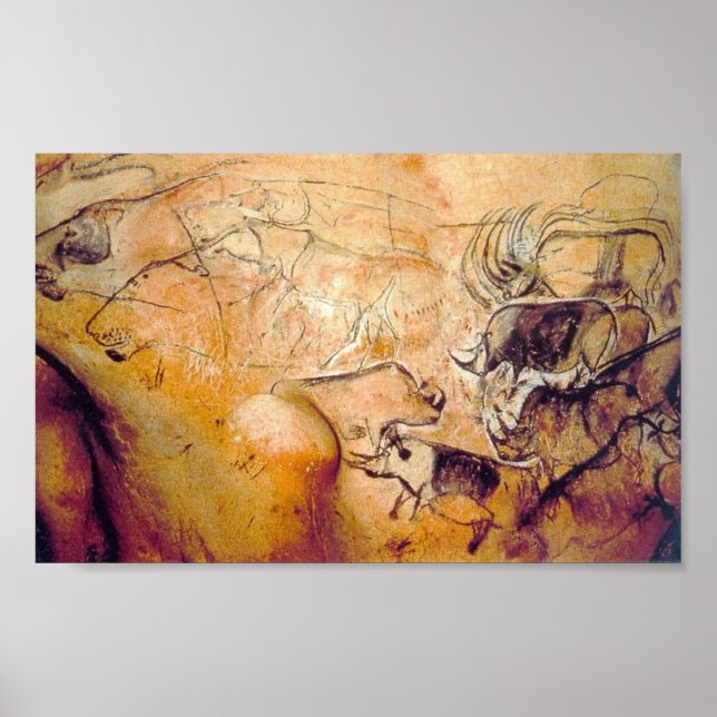 Chauvet Cave painting Poster (Front)