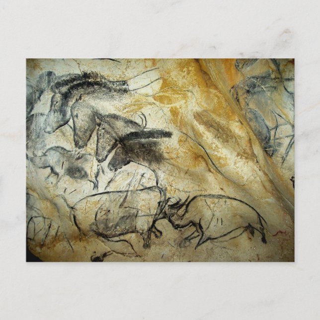 Chauvet Lascaux Cave Horses and animals Postcard (Front)