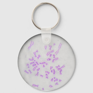 Chaveiro Cromossomos Key Ring