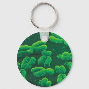 Chaveiro cromossomos key ring