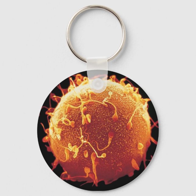 Chaveiro embriologia key ring (Front)