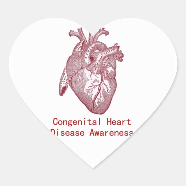 CHD Awareness Sticker (Front)