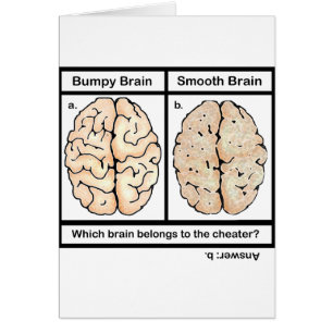 Cheating Brain