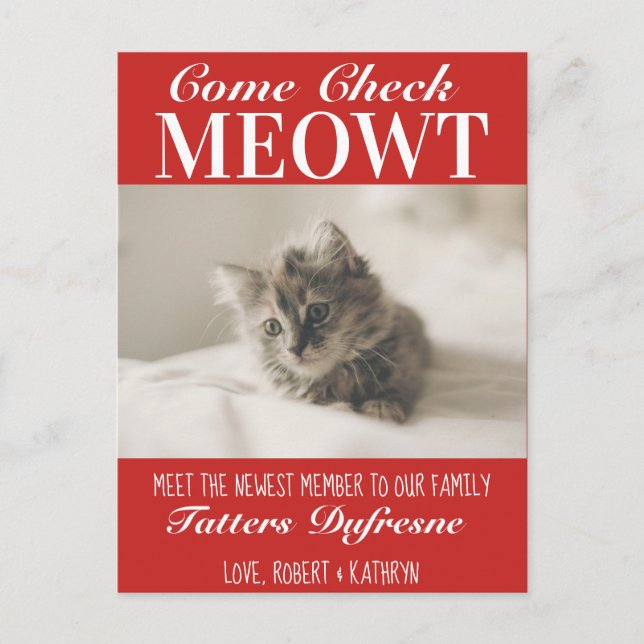 "Check Meowt" New Cat Announcement Postcard (Front)