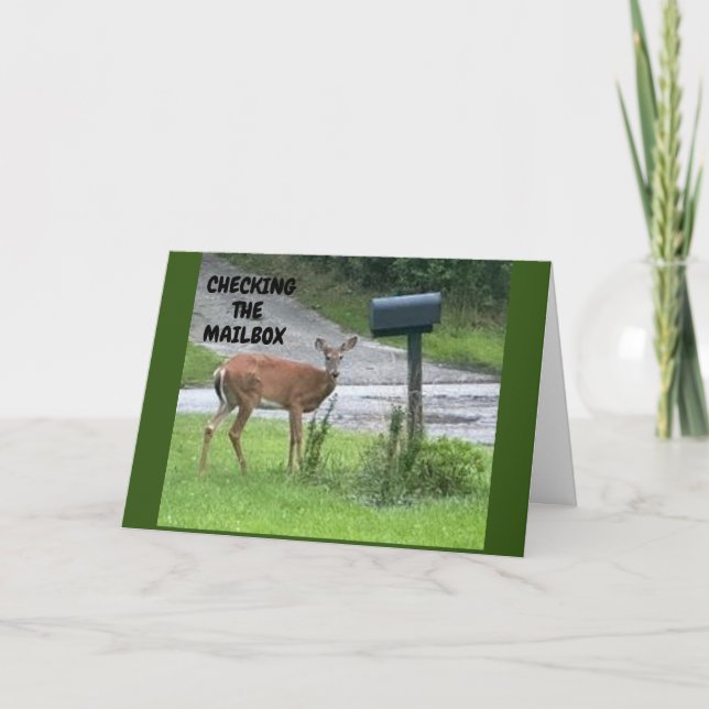 **CHECK YOUR MAILBOX ON YOUR BIRTHDAY** CARD (Front)
