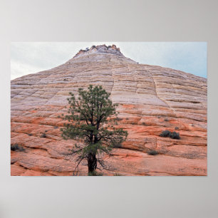 Checkerboard Mesa Zion National Park Poster
