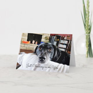 Checking in on You | Cute Dog Personalised  Card