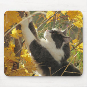 Checking out the fall colours mouse mat
