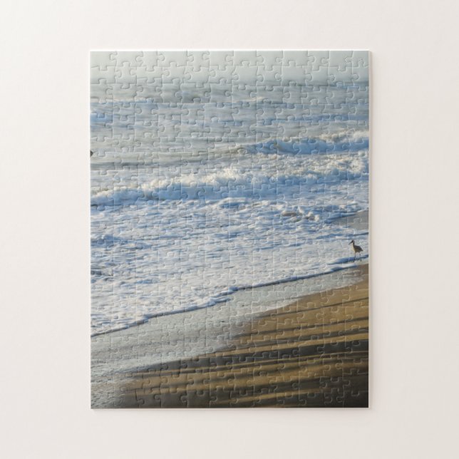 Checking The Shoreline Jigsaw Puzzle (Vertical)
