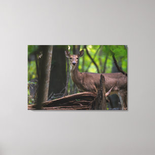 Checking You Out Canvas Print